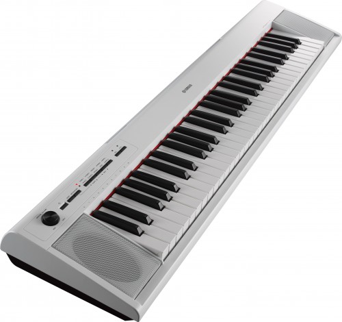 Yamaha NP-12