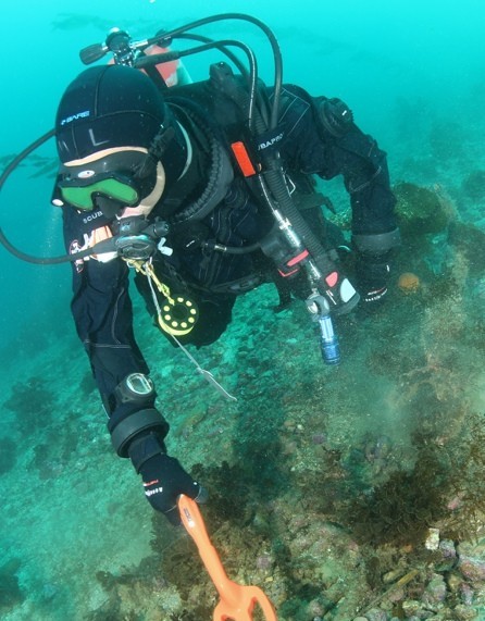 Deteknix Scuba Tector