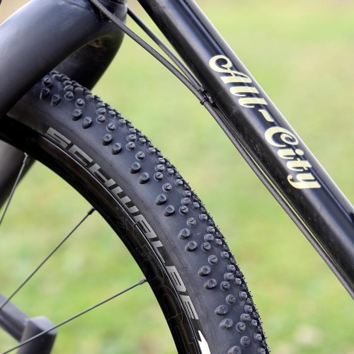 Schwalbe G-One Bite Evolution Folding