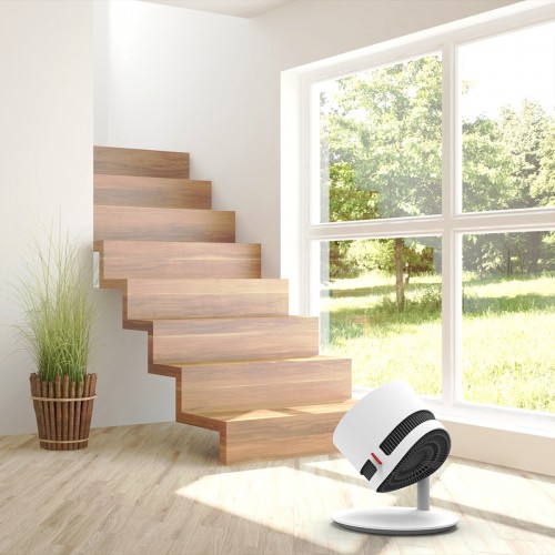 Boneco F210
