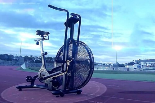 Assault Fitness AirBike