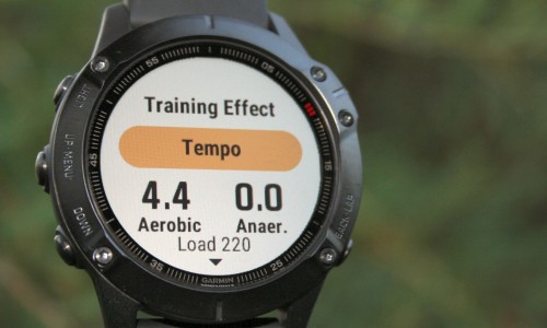 Garmin Fenix 6 Pro