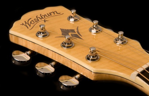 Washburn EA20