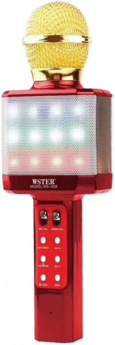 WSTER WS-1828