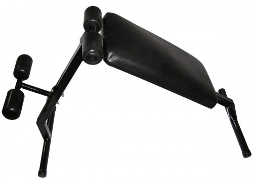 Newt NE-SKM-0670