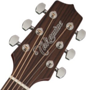 Takamine GN10CE