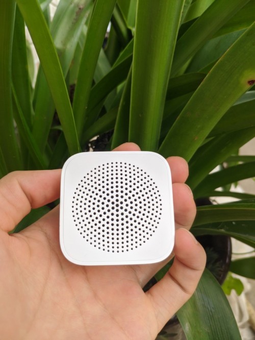 Xiaomi XiaoAI Portable Speaker