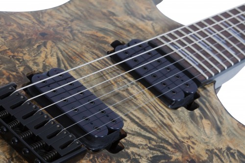 Schecter Omen Elite 6