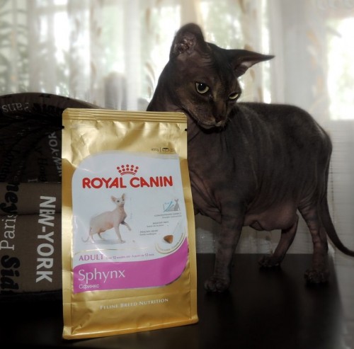 Royal Canin Sphynx Adult 10 kg