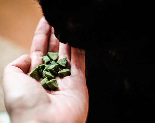 CANVIT Urinary 0.1 kg