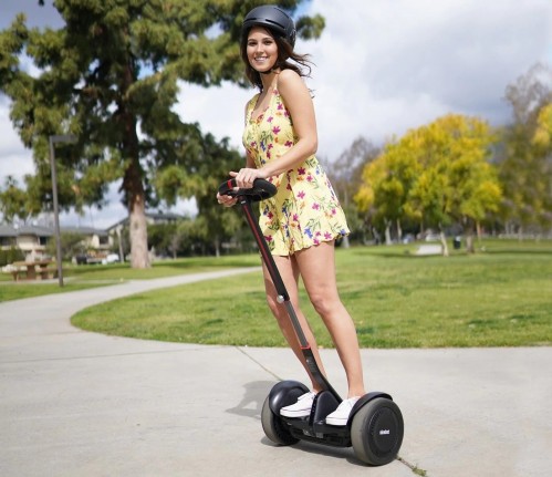 Ninebot Segway S Max