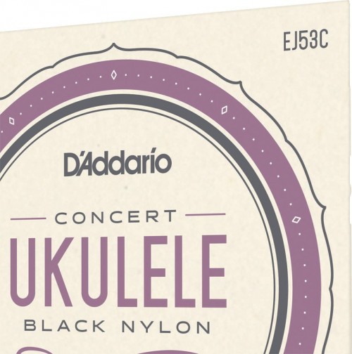 DAddario Hawaii Concert Ukulele