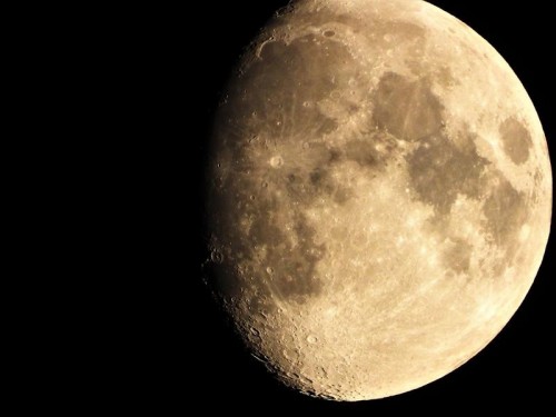 Nikon Coolpix P1000