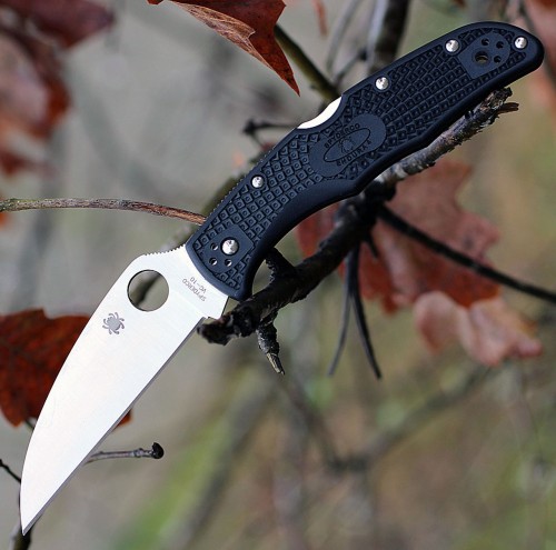 Spyderco Endura Wharncliffe