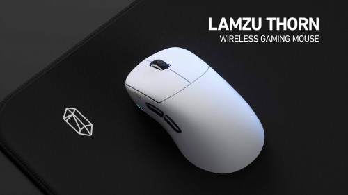 Lamzu Thorn