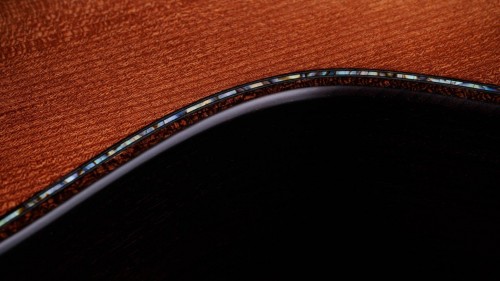Taylor Builder's Edition 914ce WHB
