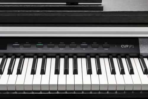 Kurzweil CUP P1