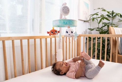 Tiny Love 3333130711