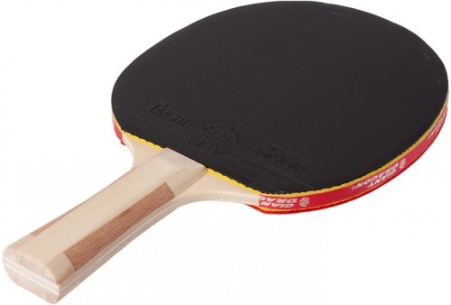 GIANT DRAGON Taichi P40+