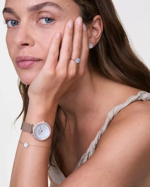 Daniel Wellington Crystalline DW00100823