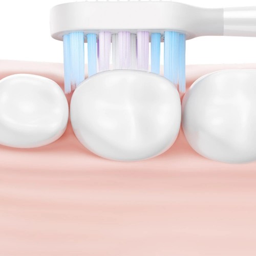 Xiaomi Mijia Toothbrush Heads T501 2 pcs