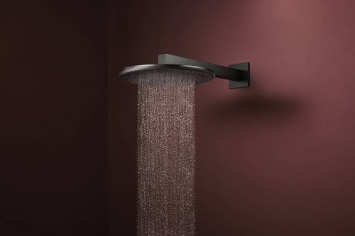 Hansgrohe Raindance Alive S 300 24520000