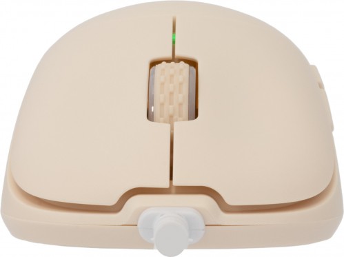 White Shark Graphene