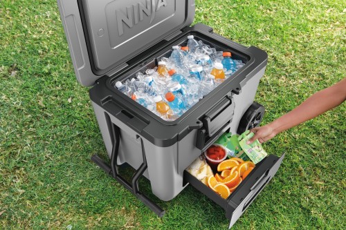 Ninja FrostVault 42L