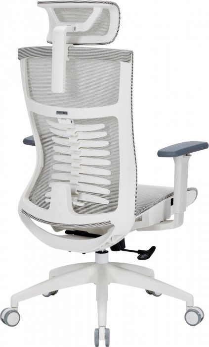 OfficePro Balance OC620