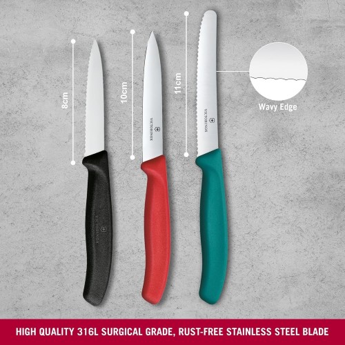 Victorinox Swiss Classic 6.7116.34C1