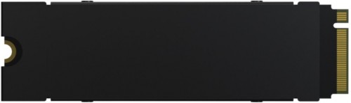 Acer Predator GM7000 Heatsink