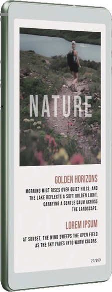 Viwoods AI Paper Reader C