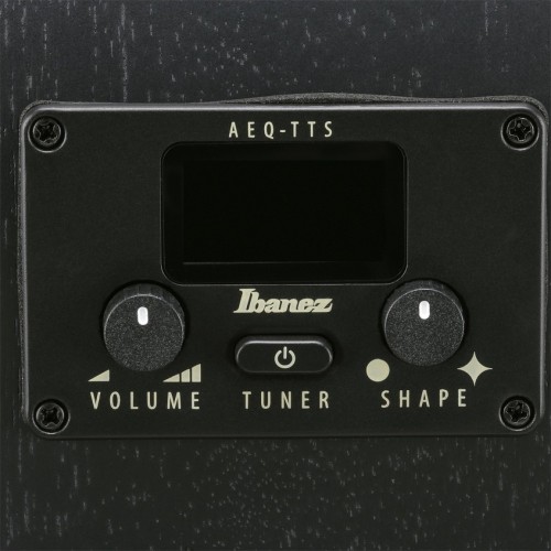 Ibanez AEG621