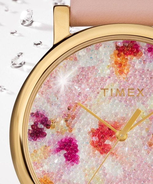 Timex TW2R66300