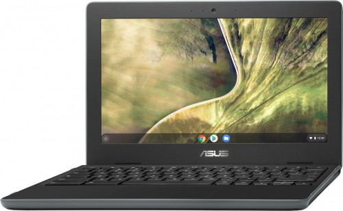 Asus Chromebook C204MA