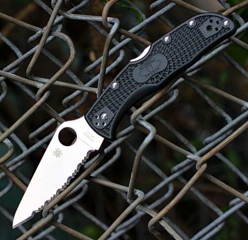 Spyderco Endela C243SBK