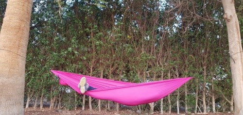 Highlander Leleka Pixy