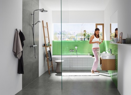 Hansgrohe Novus 1162019