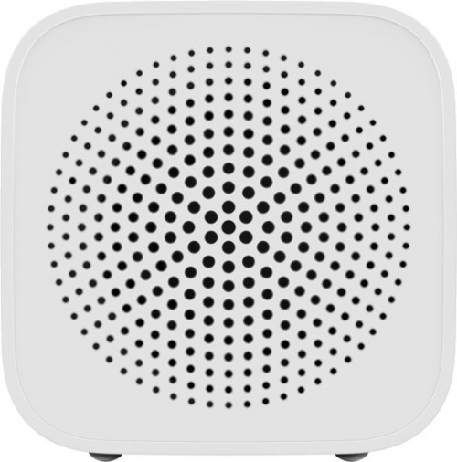 Xiaomi XiaoAI Portable Speaker