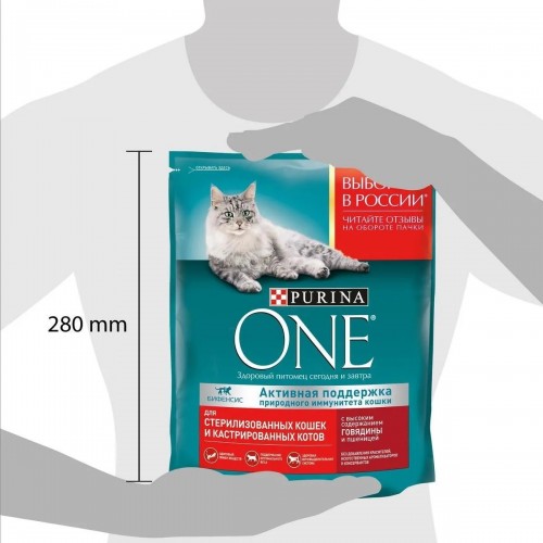 Purina ONE Sterilized Beef 3 kg