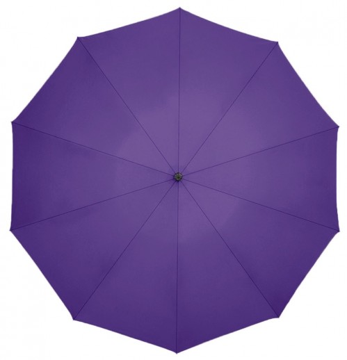 Xiaomi Zuodu Automatic Umbrella