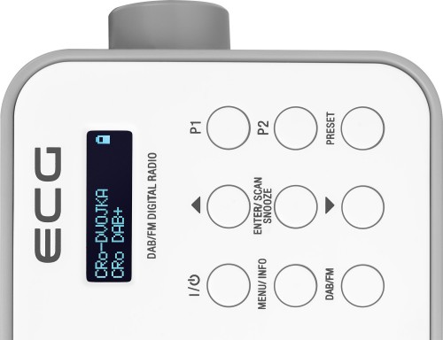 ECG RD 110 DAB