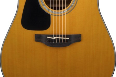 Takamine GD30CELH