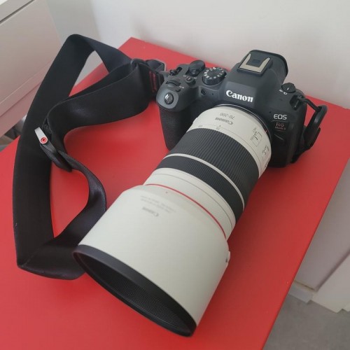 Canon EOS R6 Mark II kit