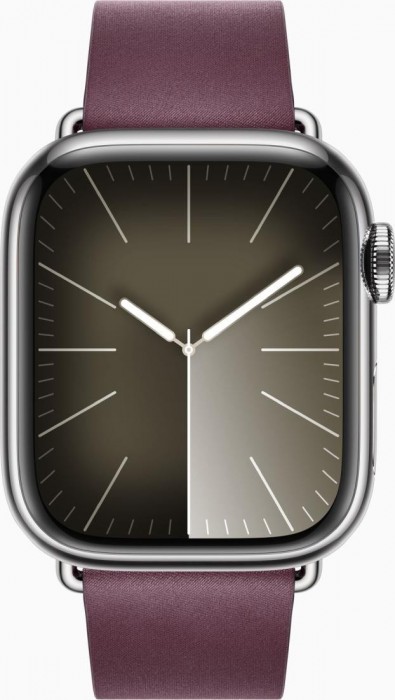 Apple Watch 9 Steel