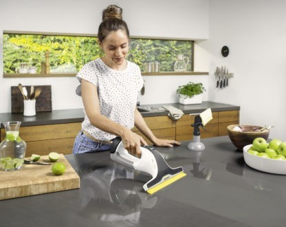 Karcher WV 7