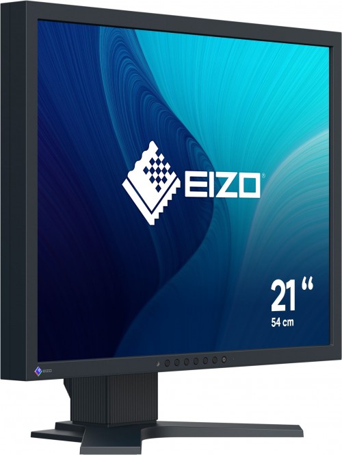 Eizo FlexScan S2134