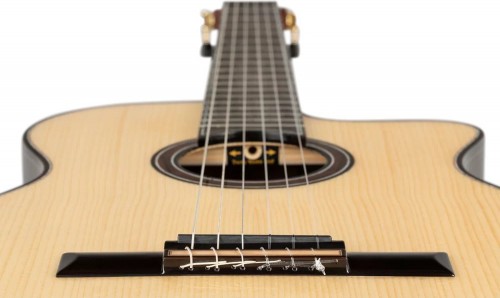 Ortega GRANDSUITE-CE