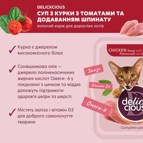 Delickcious Soup Chicken/Tomatoes/Spinach 80 g