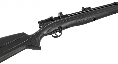 Beeman Chief III 4.5